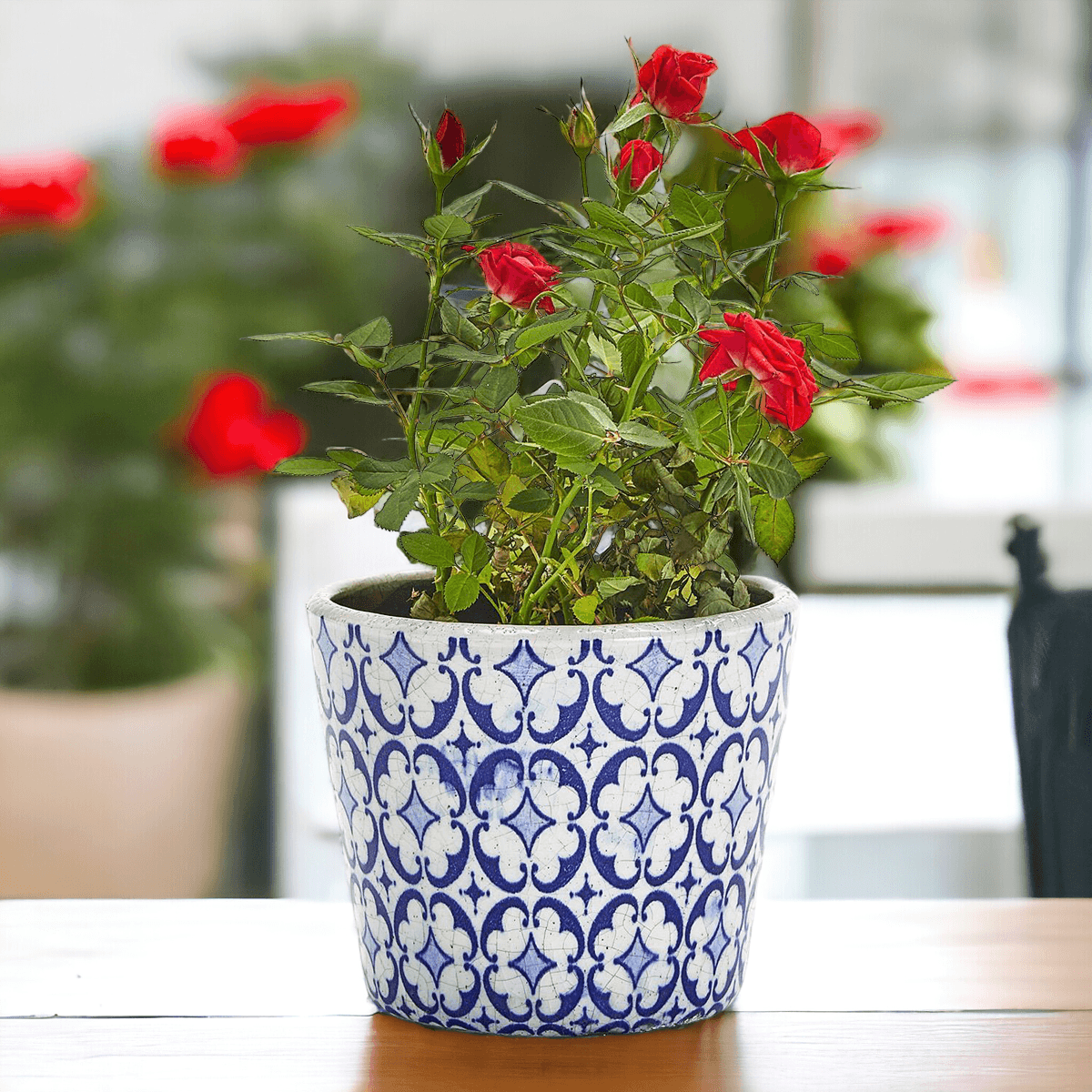 TERRACOTTA POT 5.5"