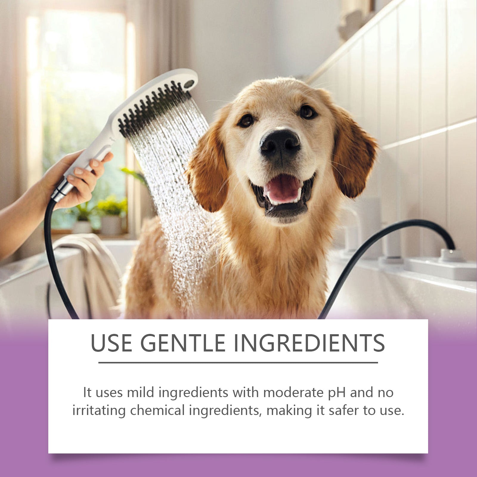 Pet Lavender Shampoo Gently Cleans Pet Cat And Dog Hair Fluffy Smooth And Fragrant