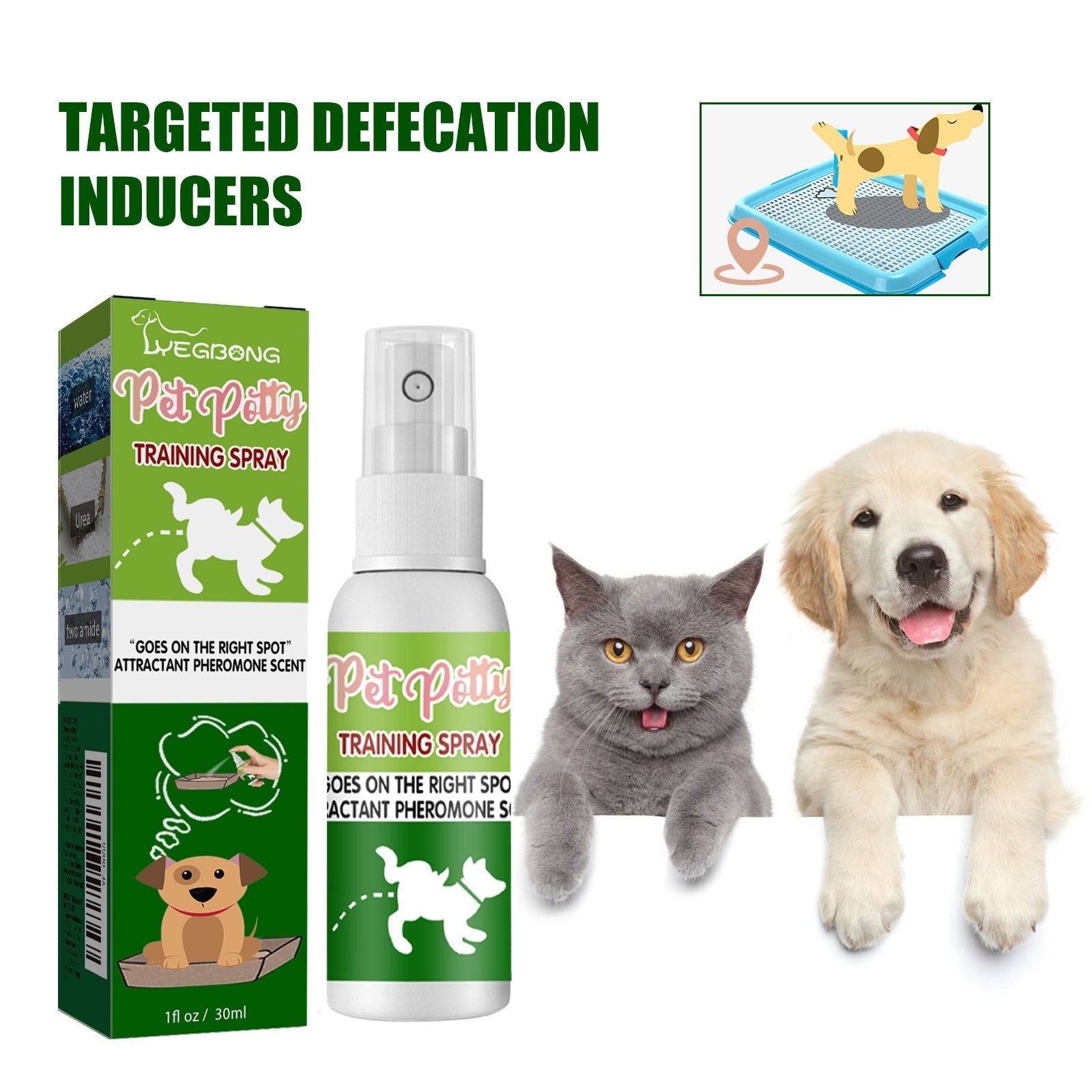 Pet Location Training Agent for Toilet Induction and Waste Positioning