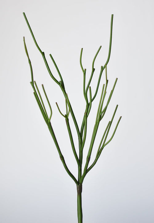 23" Faux Green Pencil Cactus Succulent Stem
