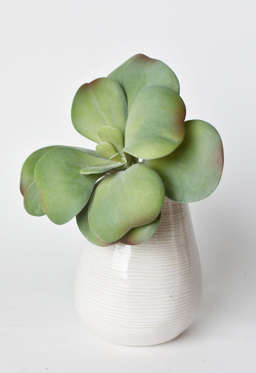 6" Faux Green\Gray Kalanchoe Succulent Pick