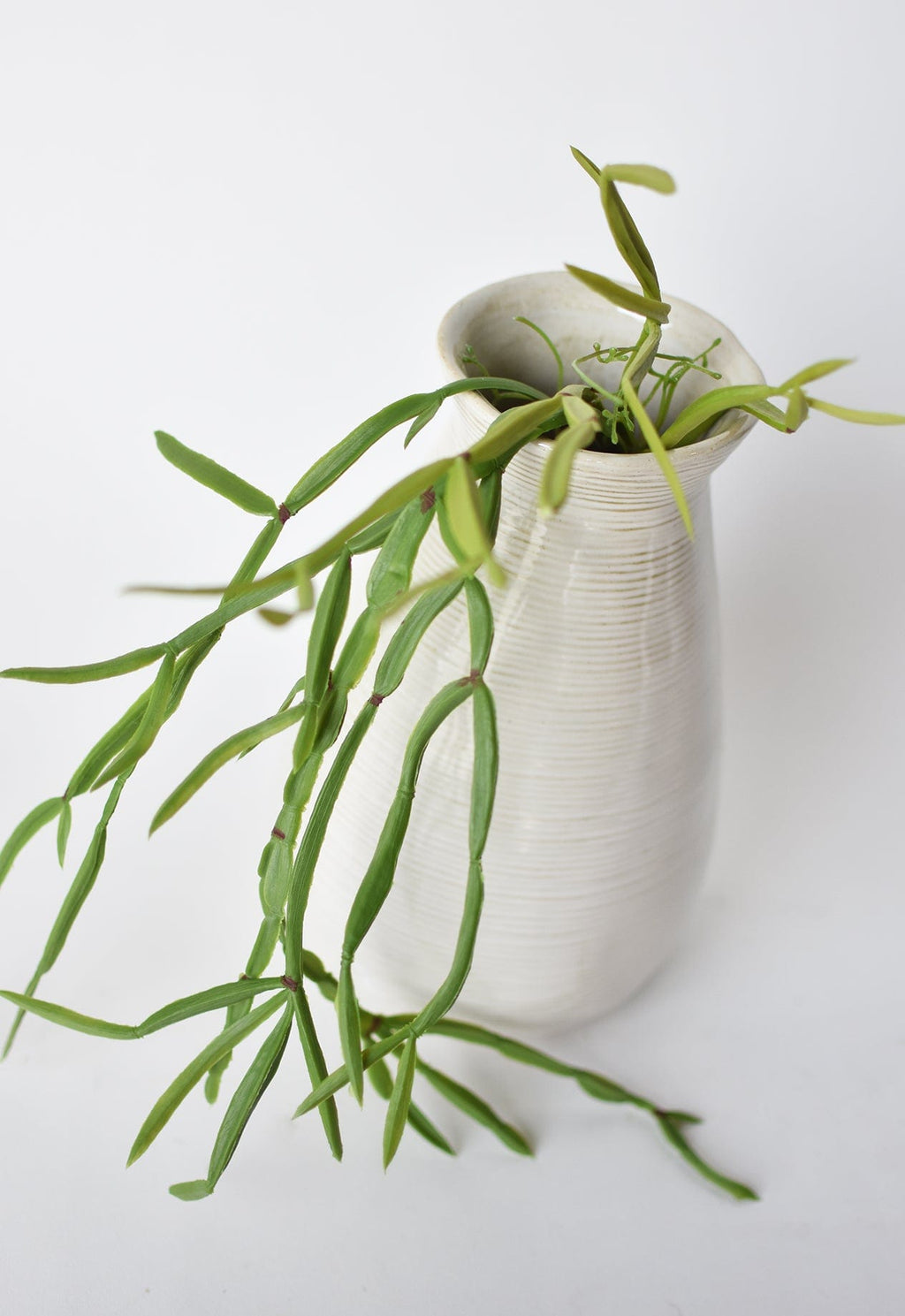 23" Faux Hanging Pencil Cactus Succulent Bush