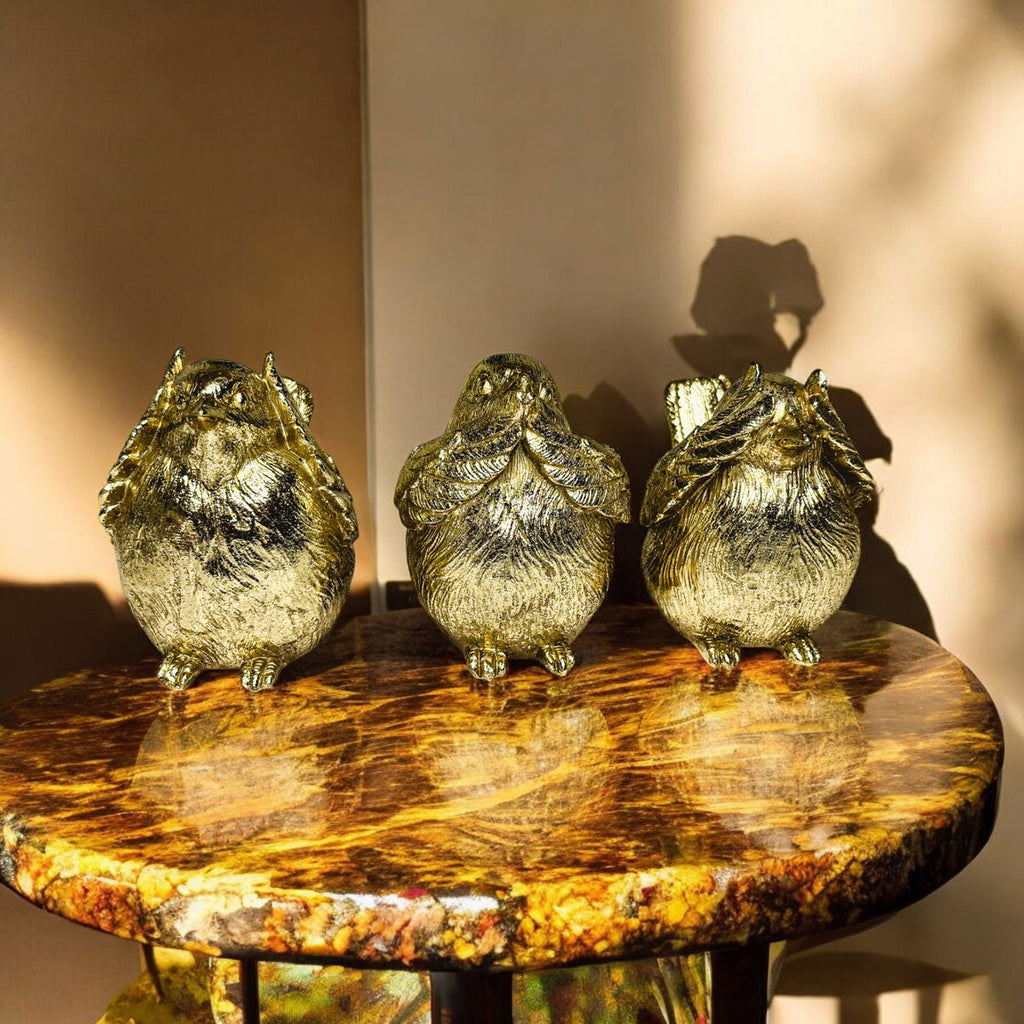 3 Wise Birds