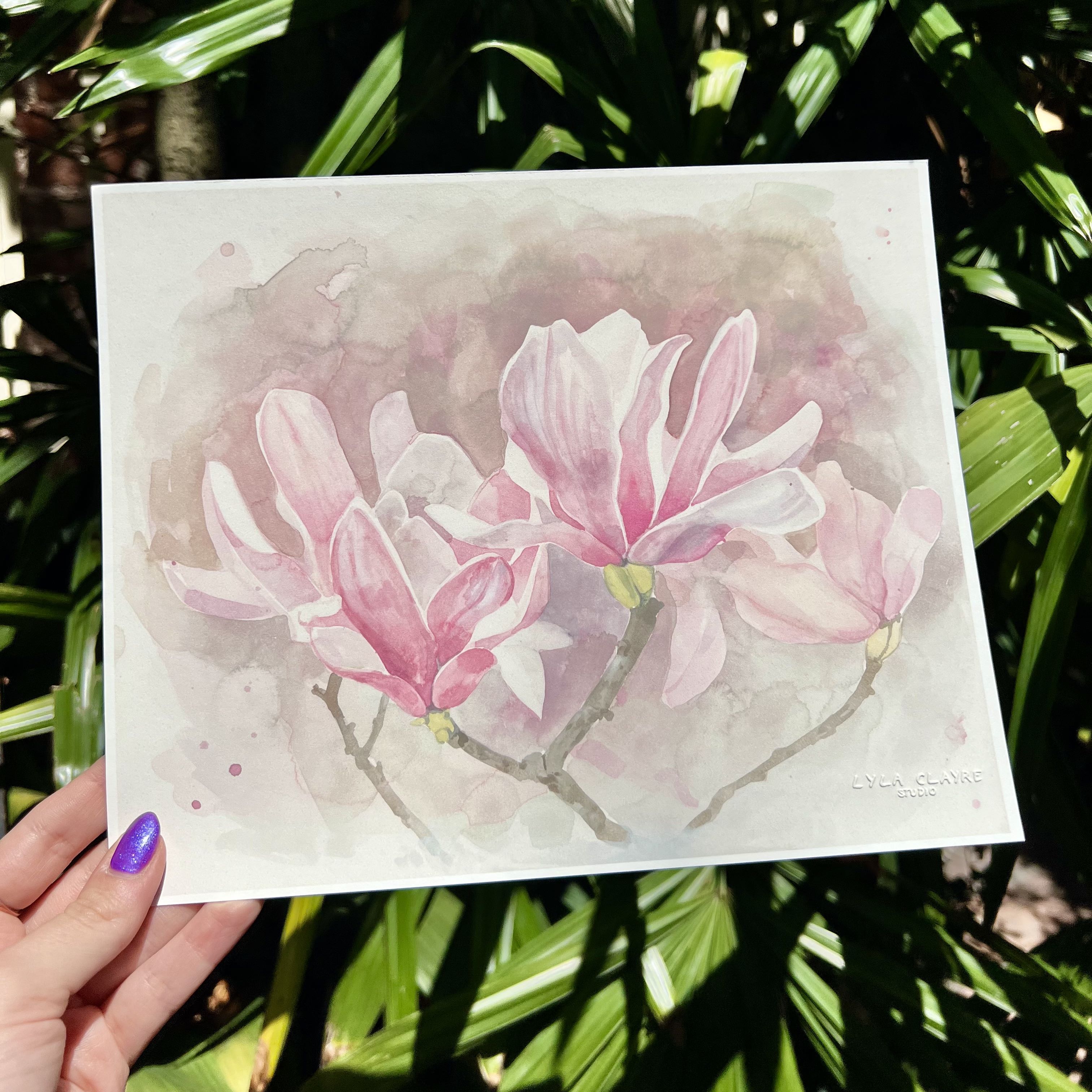 Japanese Magnolia