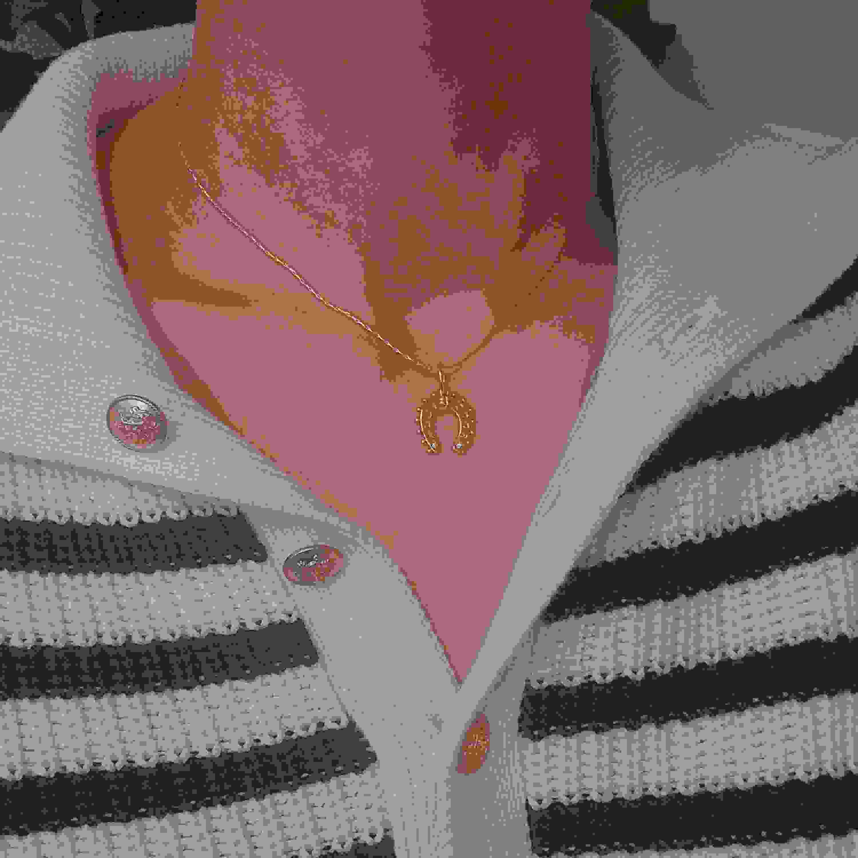 Chic Horseshoe Necklace with Lucky, Stylish Design